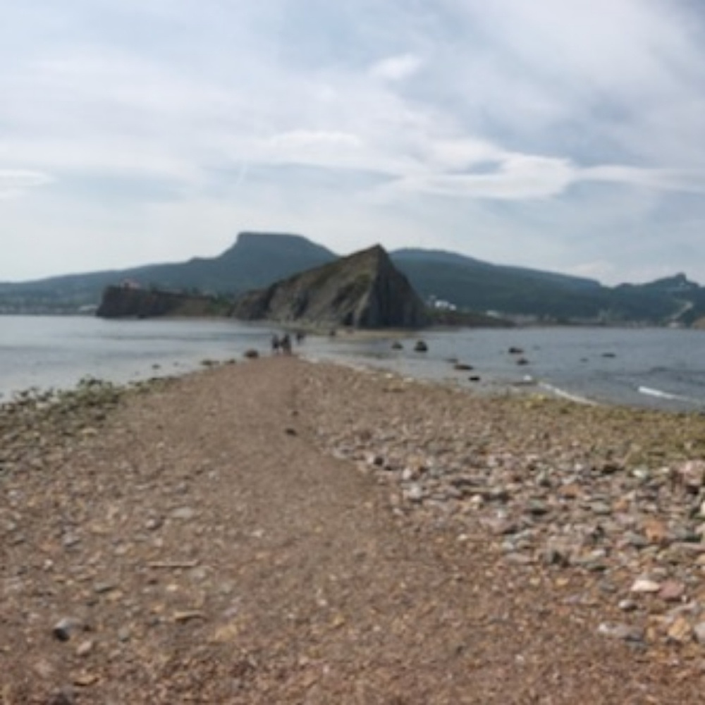 Meet your Posher, Chlo